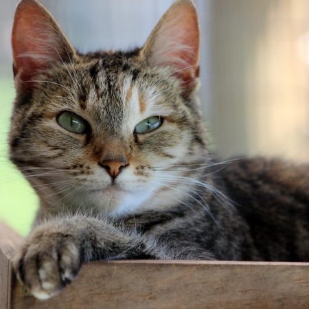 7A2C6DBA 2A4B 49D8 B87D 0DEFBAEA3631.jpeg