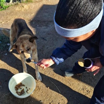 Community Outreach 2